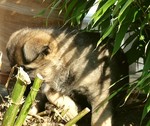 M_Wurf_06.11.11c
